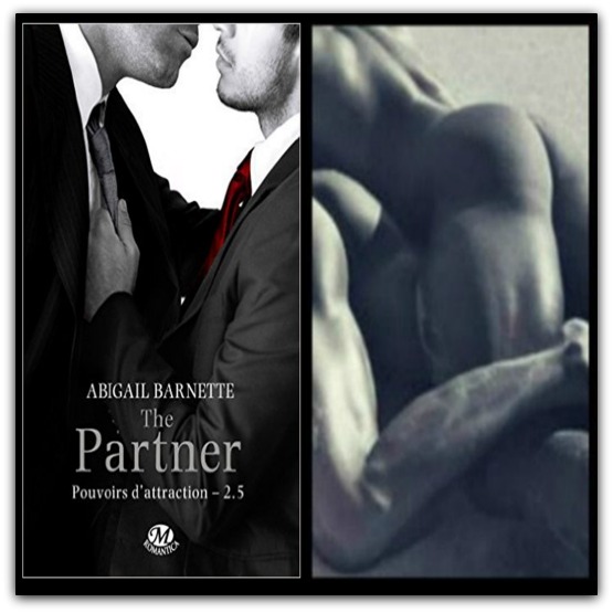 Pouvoirs d’attraction, tome 2,5 : The Partner – Abigail Barnette